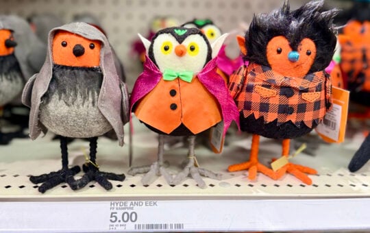 target birds
