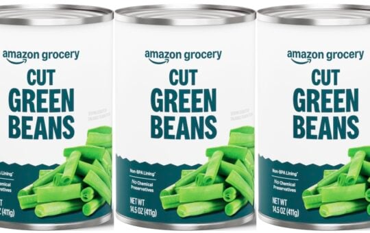Amazon Grocery Canned Cut Green Beans