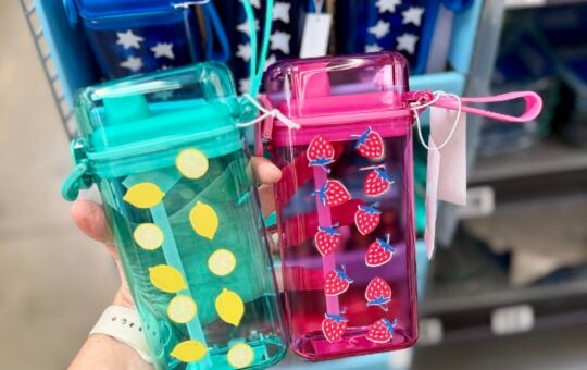 Mainstays Sip Bottles