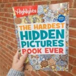 hardest hidden pictures book ever in hand with bricks in background