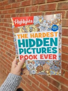 hardest hidden pictures book ever in hand with bricks in background