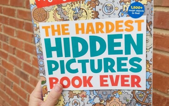 hardest hidden pictures book ever in hand with bricks in background