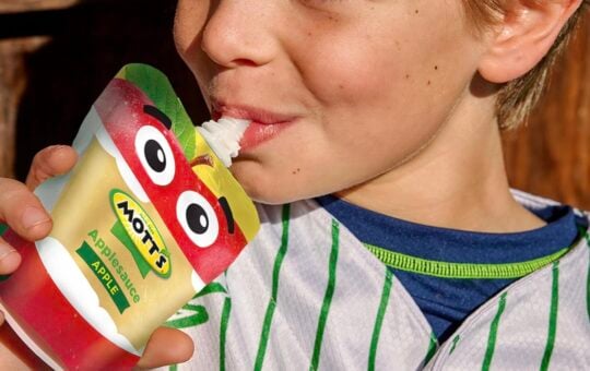 mott's applesauce pouches