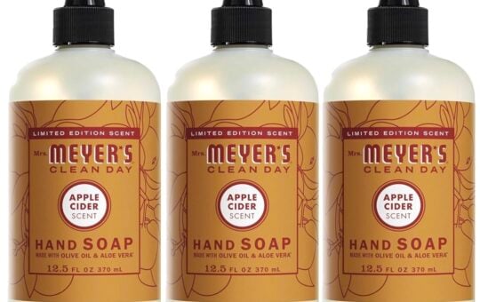 mrs meyers apple cider