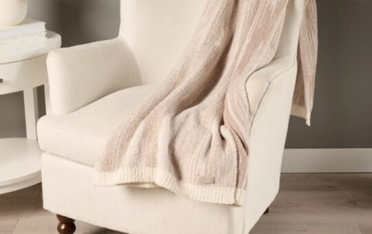 barefoot dreams cozy throw