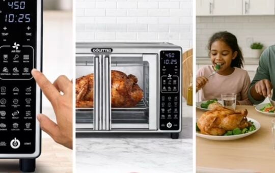gourmia air fryer french door 24L