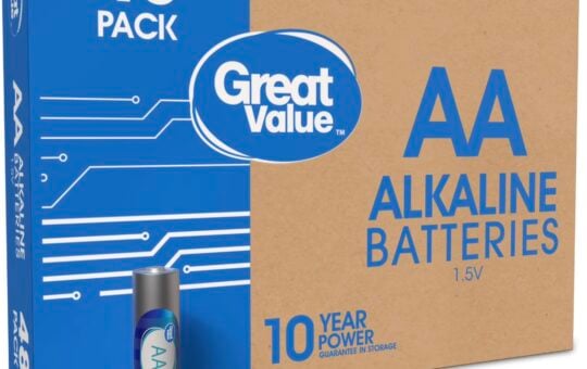 great value batteries