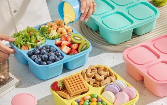 4 Pcs Snack Box Containers Set 2