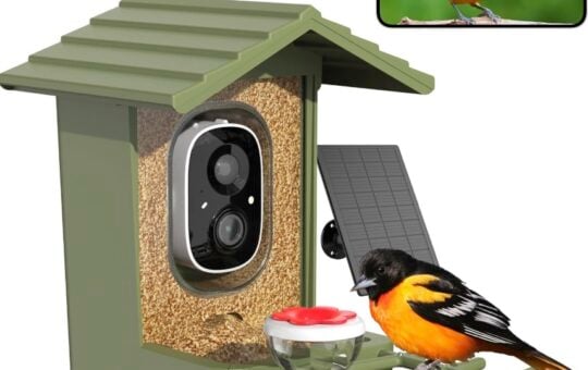 bird feeder