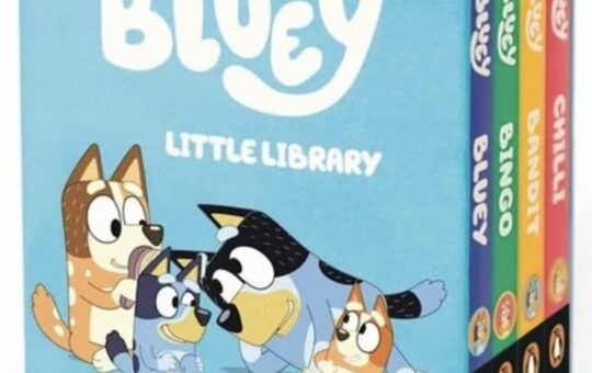 bluey little library books
