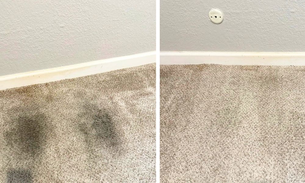 before and after photo of stains on carpet