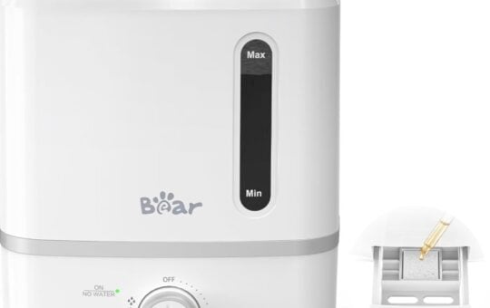 Bear Humidifier