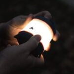 Ozark Trail LED Mini Camping Lantern