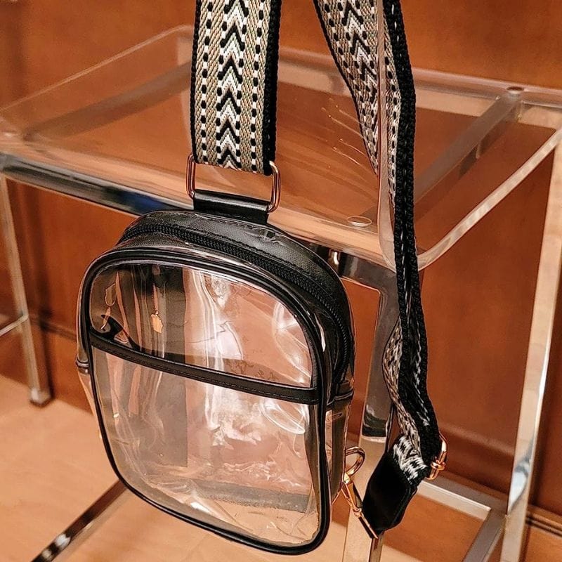 amazon clear stadium bag (2)