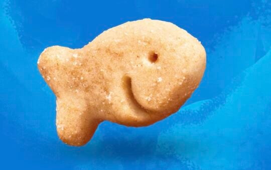 goldfish vanilla cupcake grahams