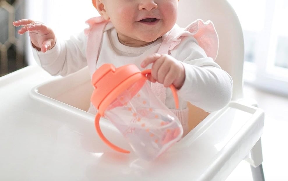 Dr. Brown's Milestones Baby's First Straw Cup
