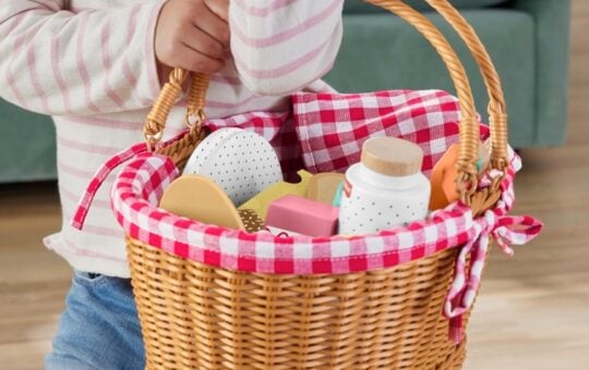 Fisher Price Picnic Basket