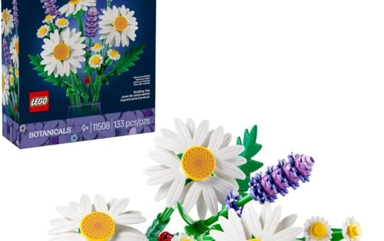 LEGO Botanicals Daisies Building Toy