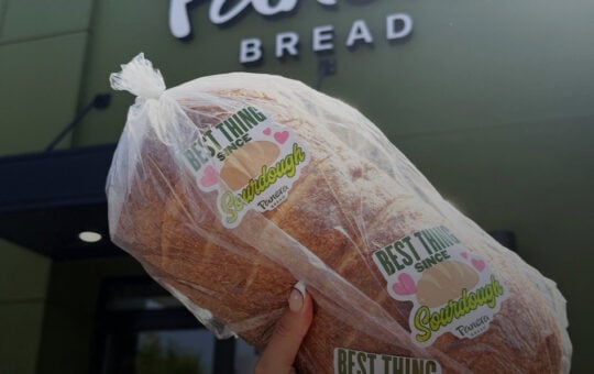 Panera Sourdough