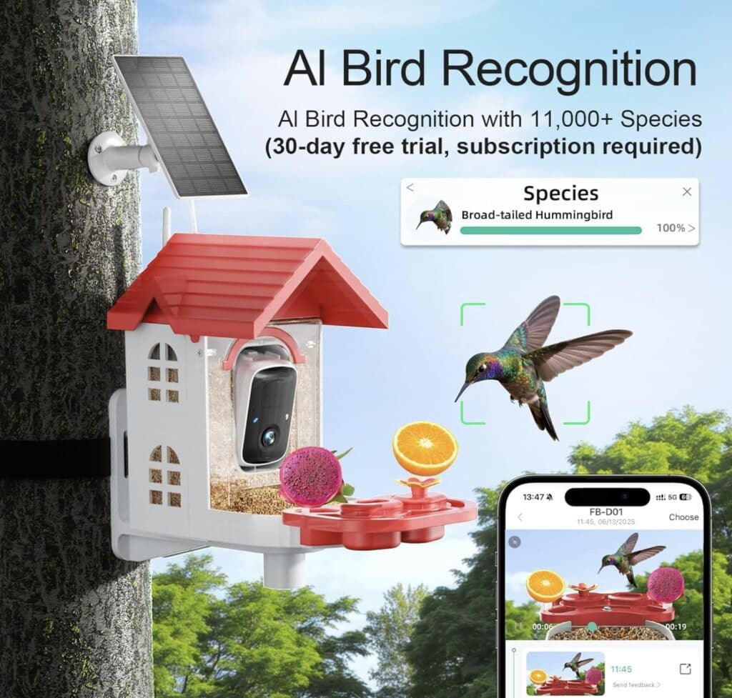 bird recognition ai