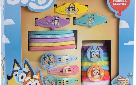 bluey hair accessories kit