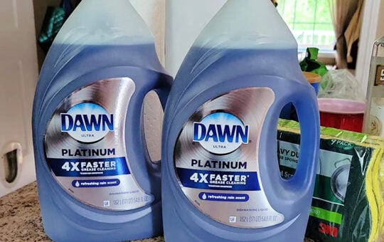 dawn platinum(1)