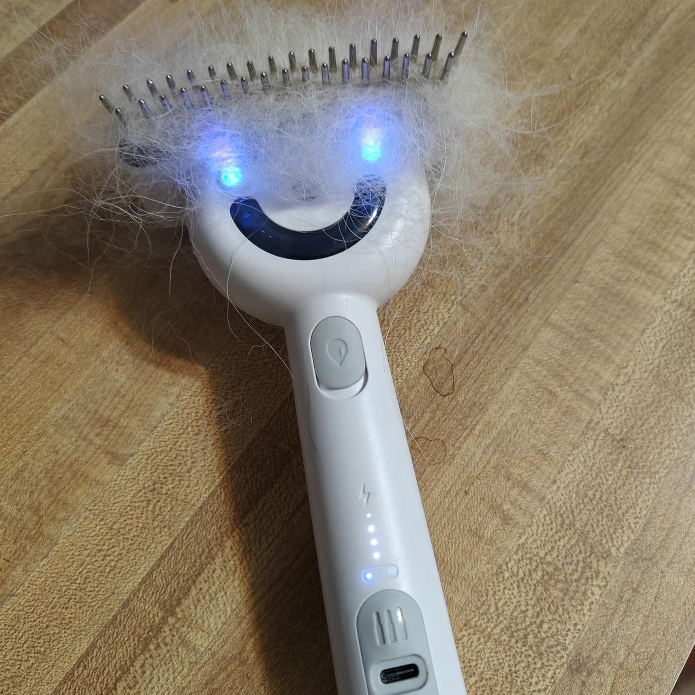 pet brush