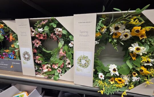 Aldi Finds This Week