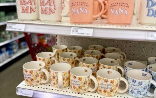 target mom mugs