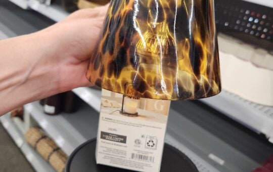 tortoise candle warming lamp BHG walmart