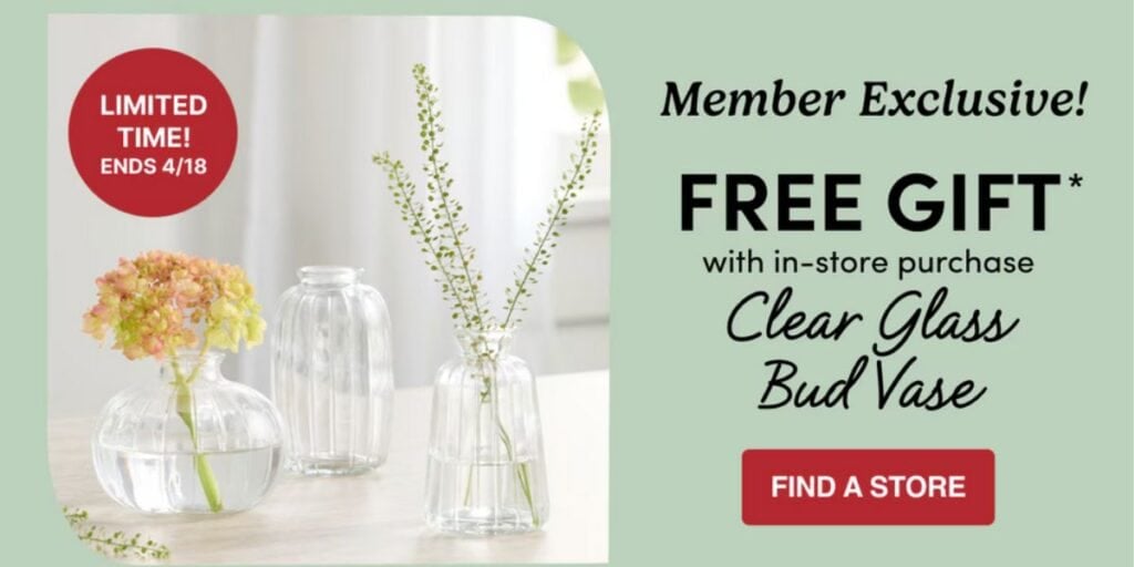 world market freebie
