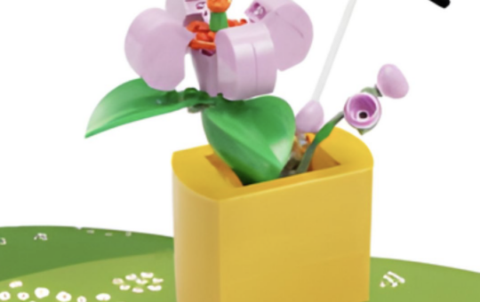 Barnes & Noble LEGO event