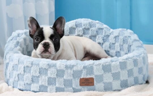 Joydeco Cloud Pet Bed
