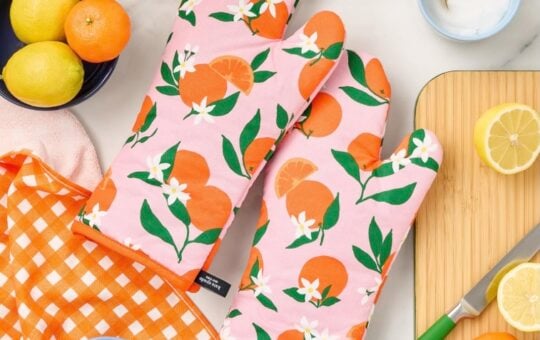 Kate Spade Squeeze The Day Oven Mitt 2 Pack Set