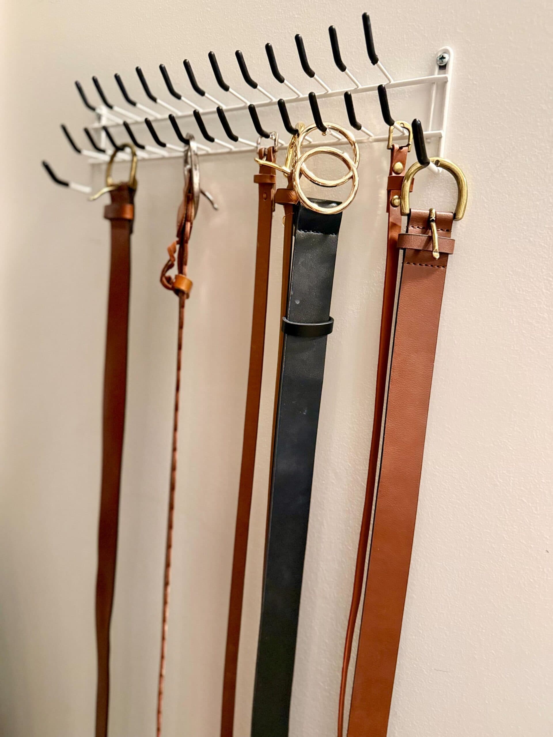 Laurie Closet Organization Belt Hanger