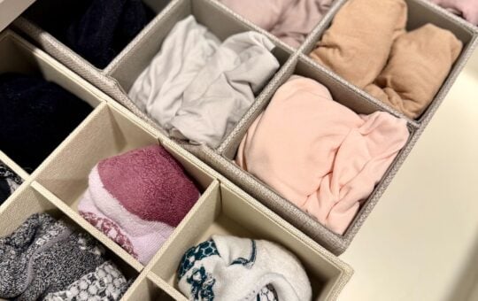 Laurie Closet Organization Drawer Dividers Socks