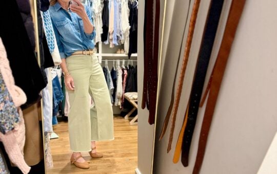 Laurie Closet Organization Full Length Mirror