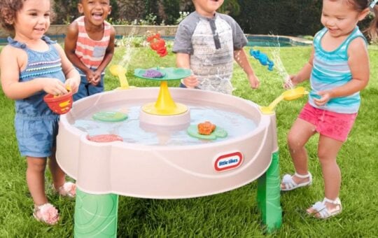 Little Tikes Frog Pond Water Table