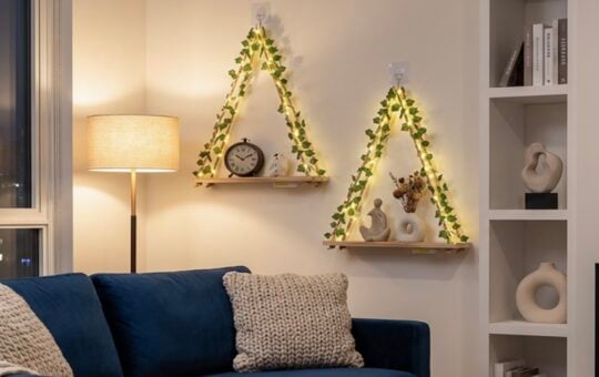 Richer House Floating Shelves Set