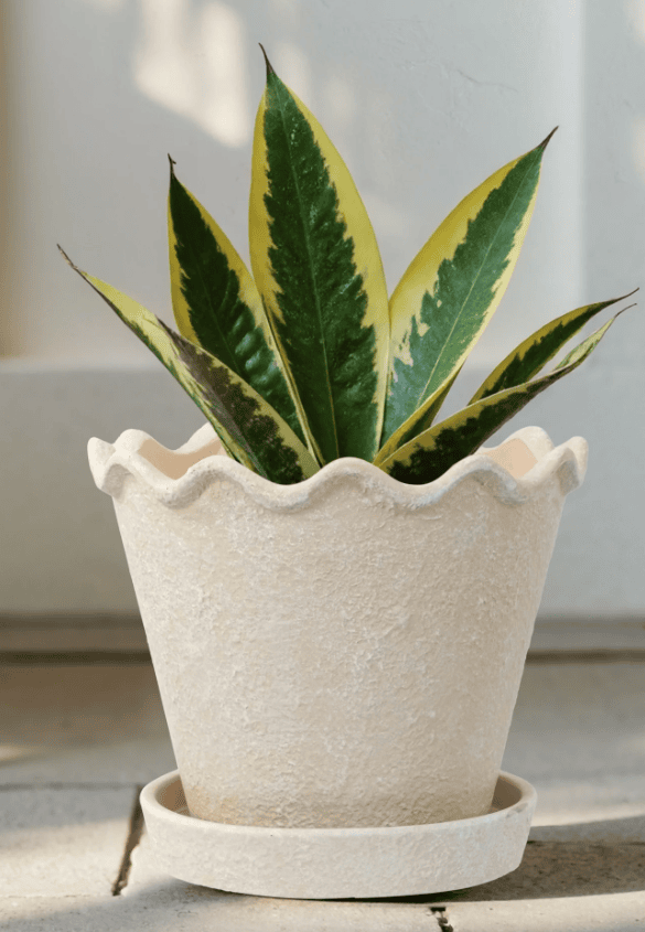 Screenshot 2026 03 17 152011