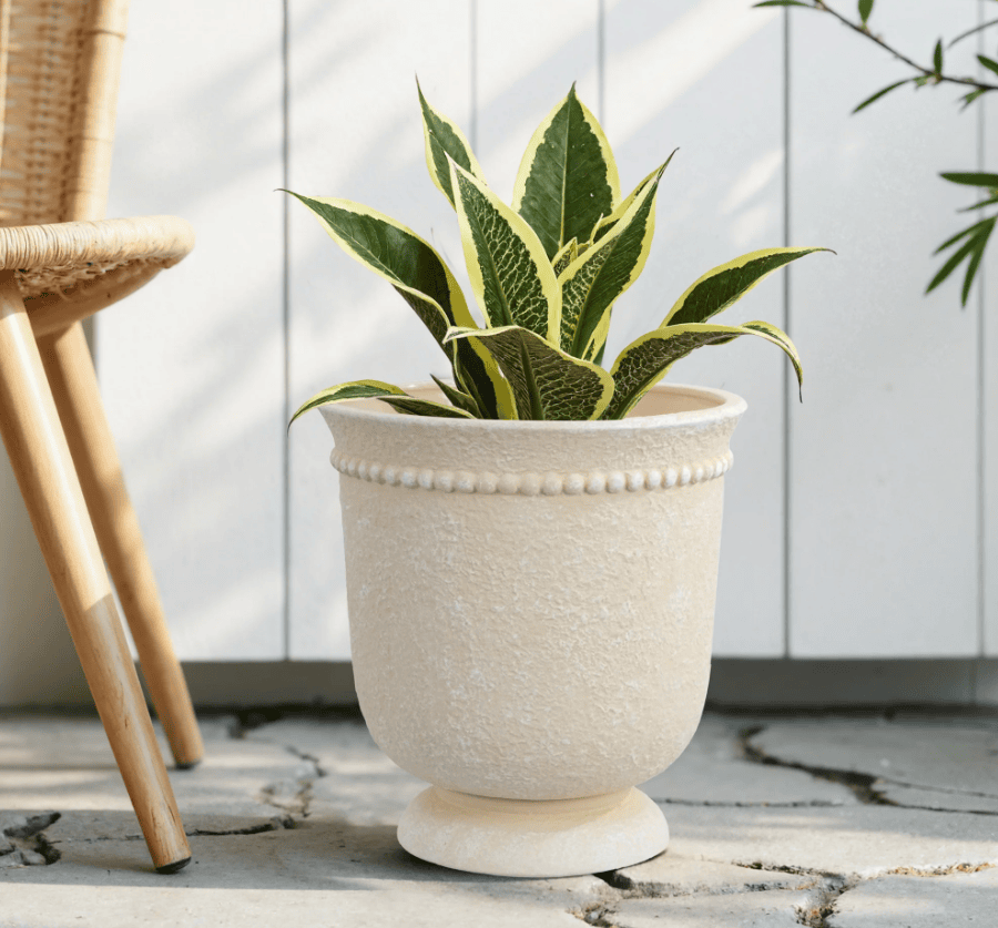 Screenshot 2026 03 20 150827