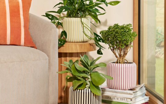 Screenshot 2026 03 20 151346