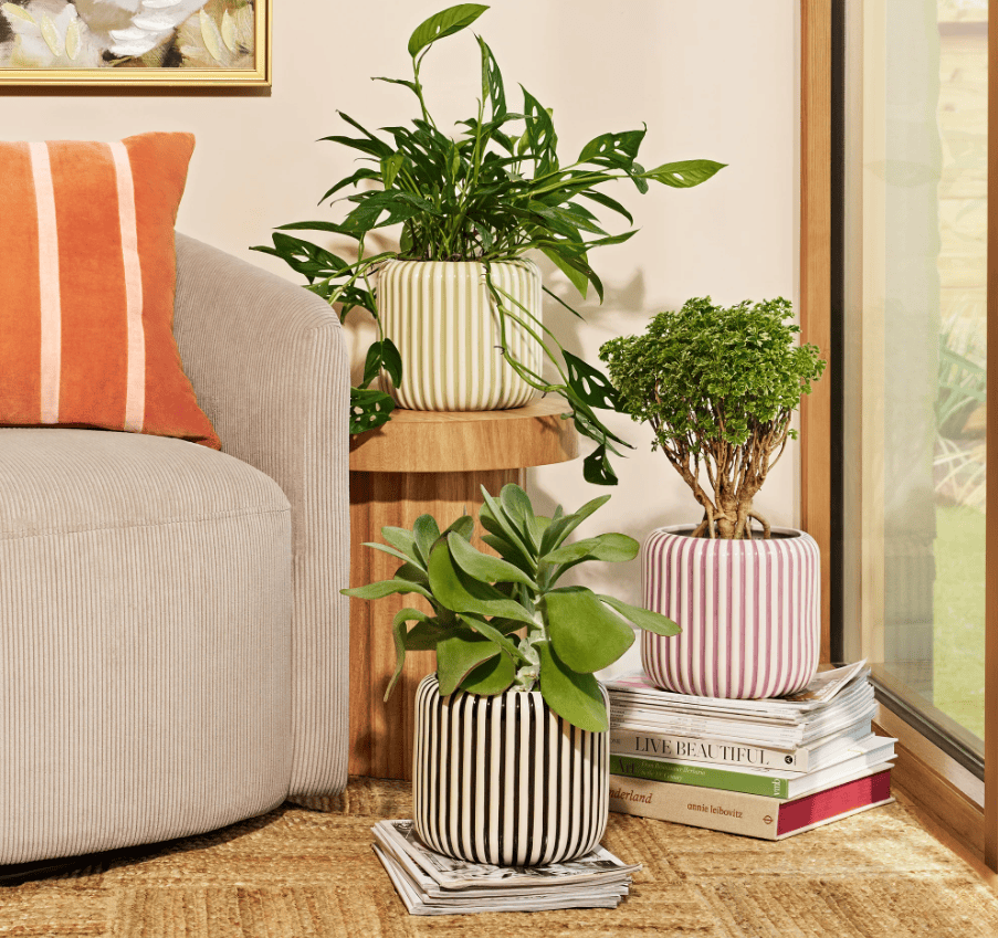 Screenshot 2026 03 20 151346