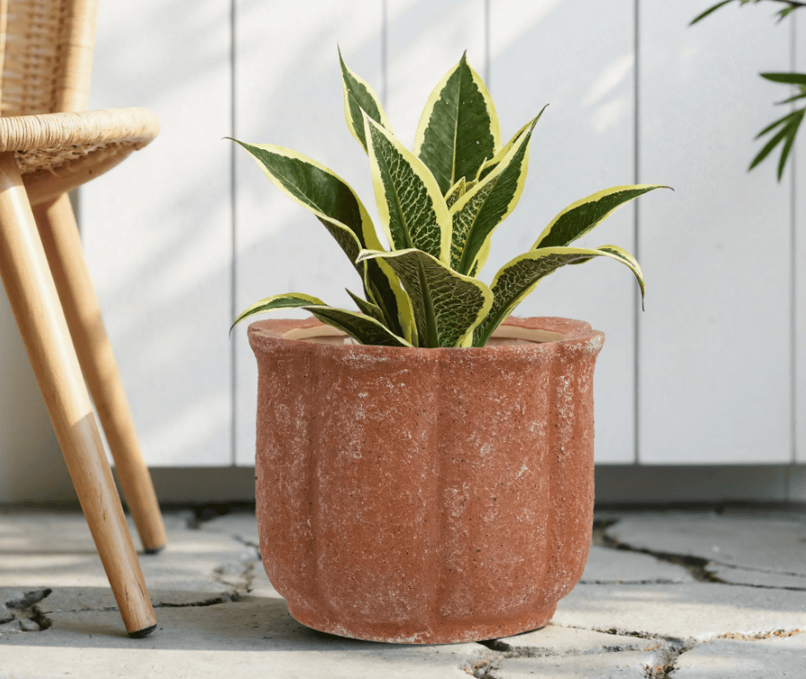 Screenshot 2026 03 20 152258