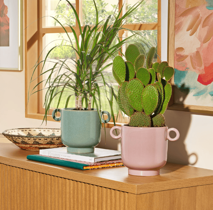 Screenshot 2026 03 20 152736