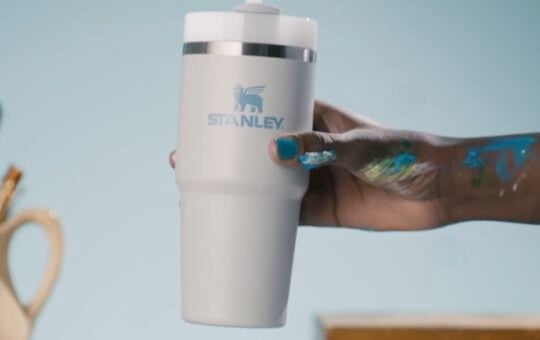 Stanley Quencher H2.0 Tumbler with Straw 20 oz