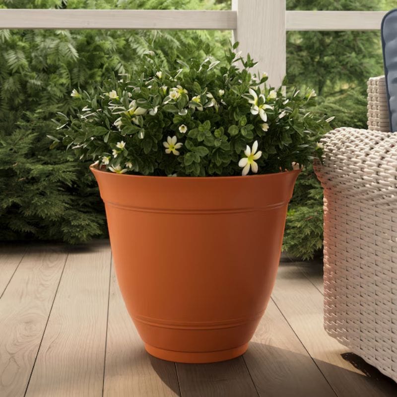 Terracotta planter