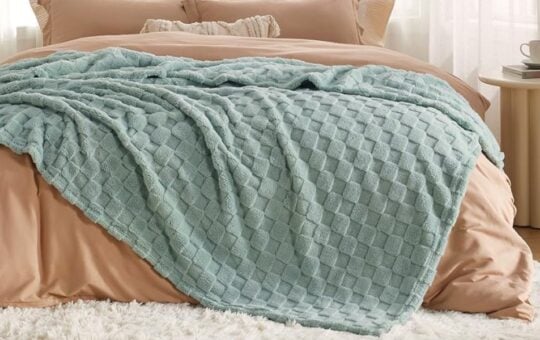 bedsure sage blanket (1)