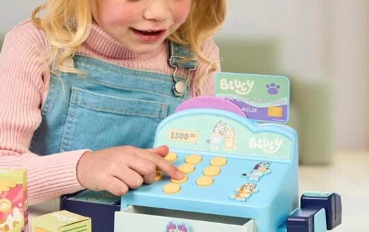 bluey cash register playset