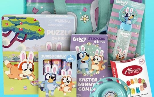 bluey easter basket